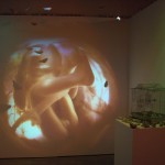 Liz Hamstra