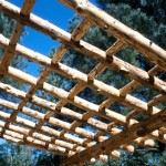 building the timber frame shed building the timber frame shed