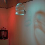 Liz Hamstra