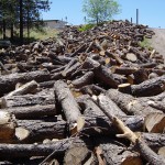 Wood drying Wood drying