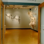 gallery6