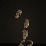Kristy Leverock